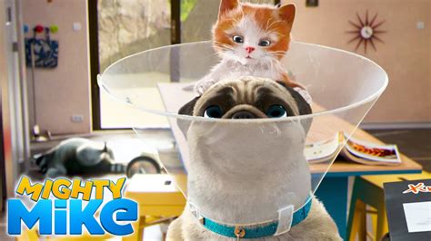 cartoonhd shame|MIGHTY MIKE The cone of shame Episode 05 .